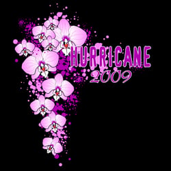 Motiv für das Hurricane Festival