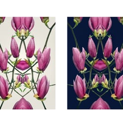 „Flowers on Speed“ 4, digital collage