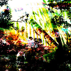 VIE_02