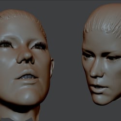 digital Sculpts