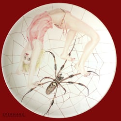 im Netz / in the web