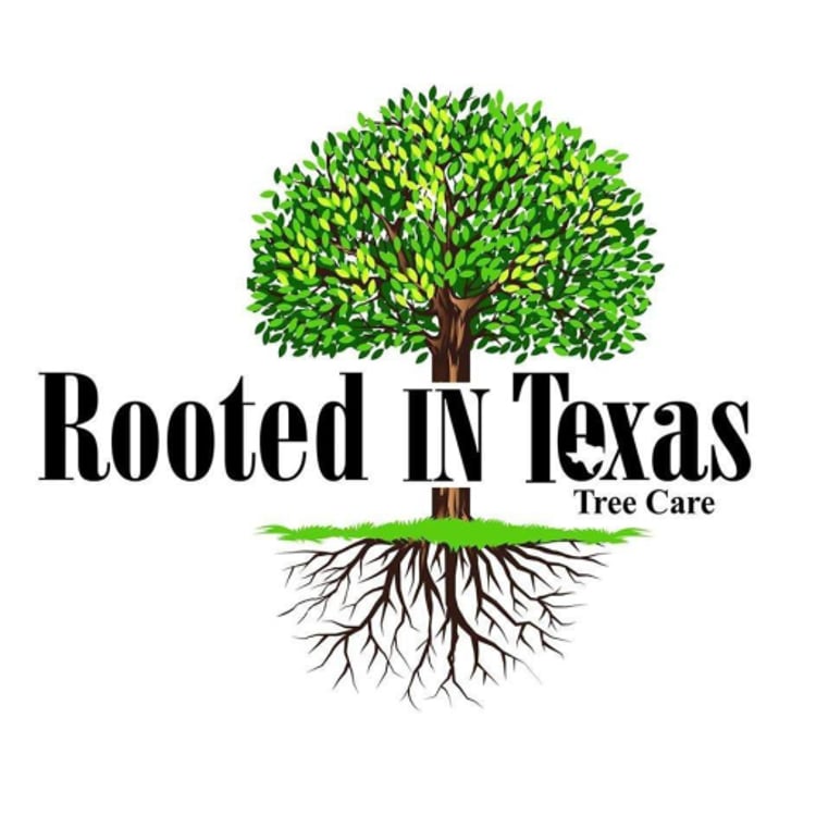 Rooted in Texas Tree Care