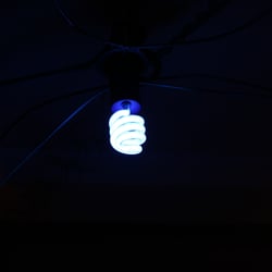 IMG 0949