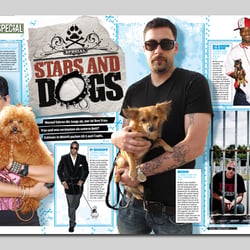 Stars & Dogs