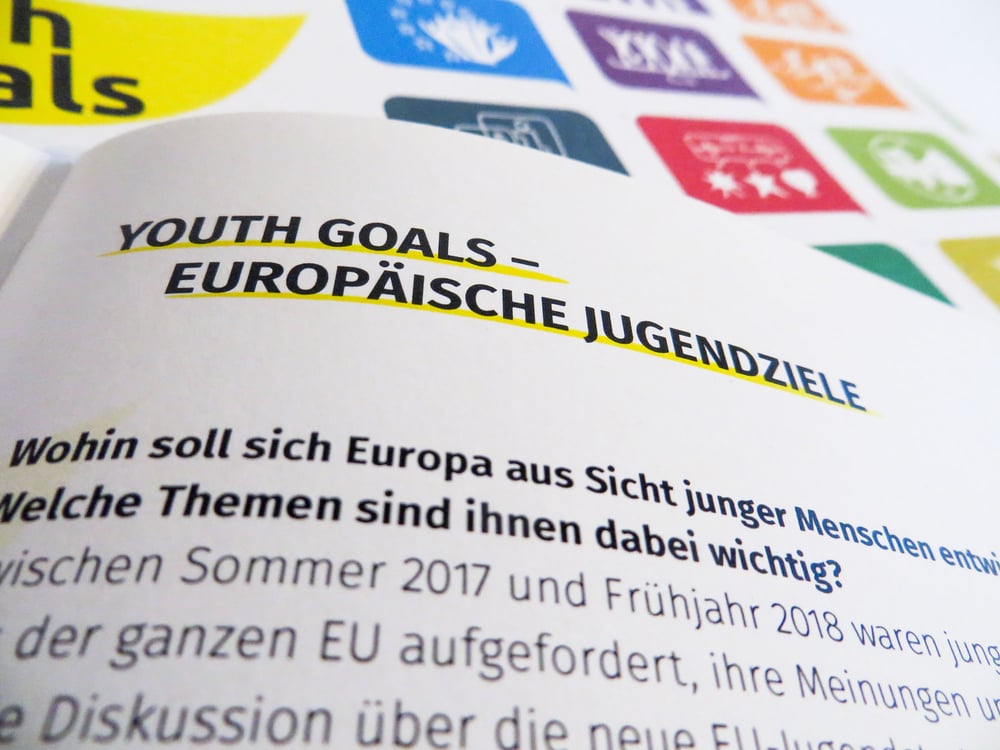 Youth Goals Deutscher Bundesjugendring