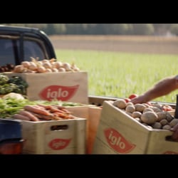Iglo“Vegetable Campaign 2017”