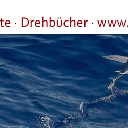 Einfach vorbeischauen: www.robertwelz.de