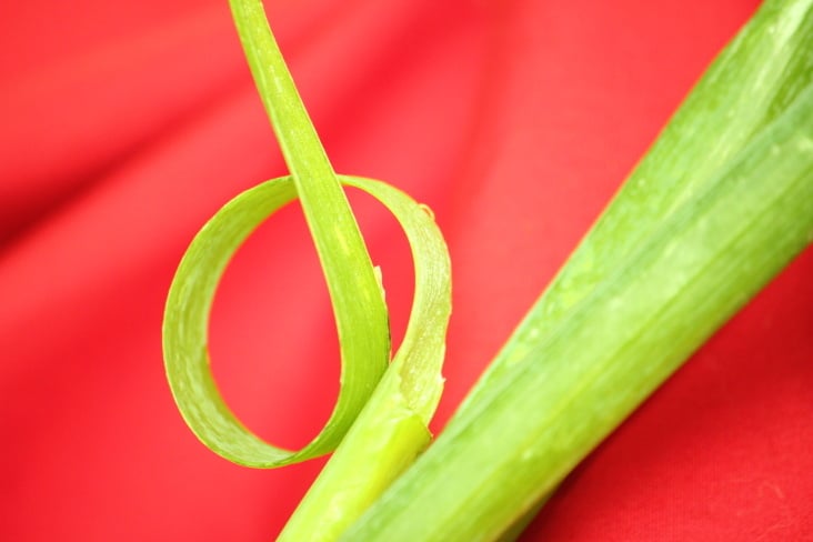 Food Photography 2012