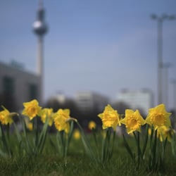 SPRING IN BERLIN