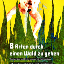 Theaterauftritt (2015): eigenes Projekt