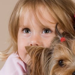 Lieblings Hund