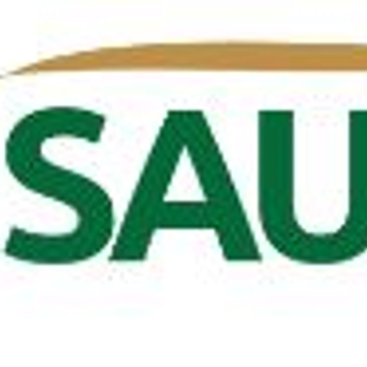 Fly Saudi