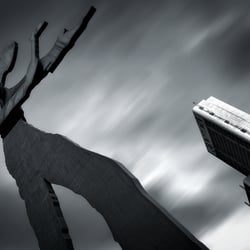 shadow worker…
