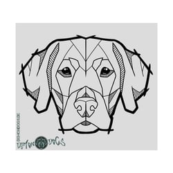 Splitterhunde – Labrador – Shop Design – DemonDogs