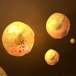 cell