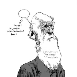darwin