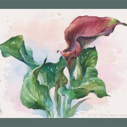Aquarell