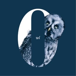 o wie owl