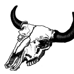 Llano Estacado