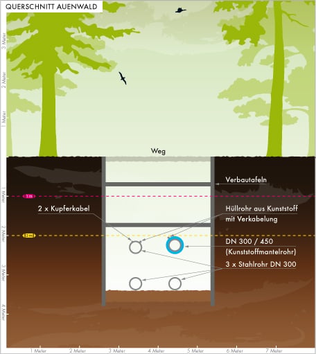 01 auenwald
