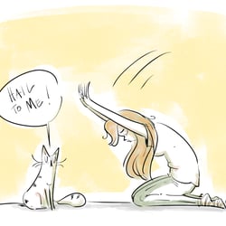 Catday