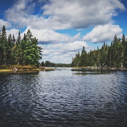 Algonquin Provincial Park Kanada