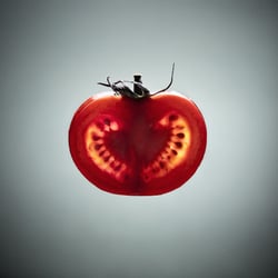 Tomate