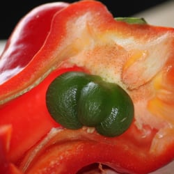 Paprika 03