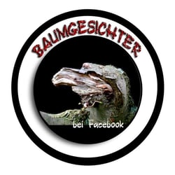 Adler Te Hokioi Flaumfeder