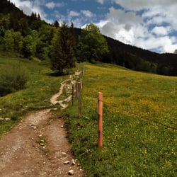 Kochel-Walchensee