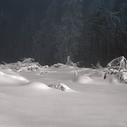 Schneeland