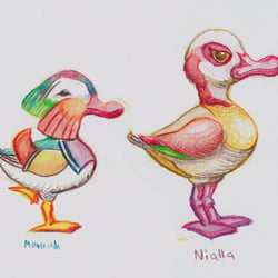 Character Design: Maverick and Nailla