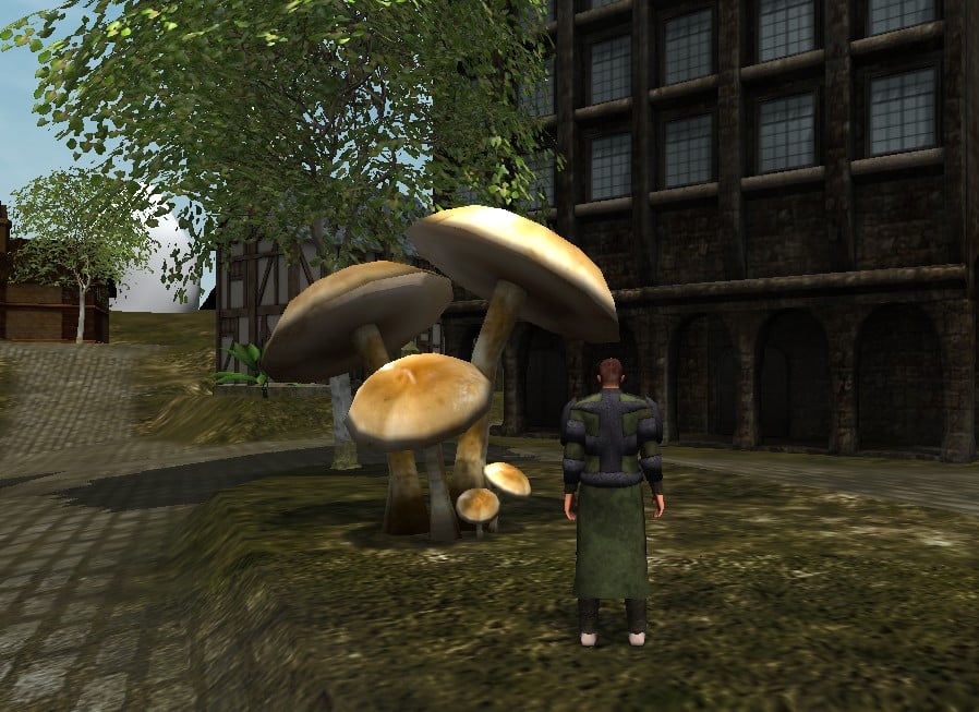 mushrooms