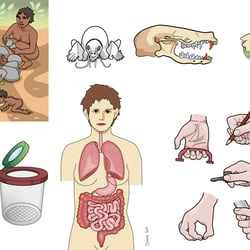 verschiedene Icons für Kindersachbücher, Vektorgrafiken
