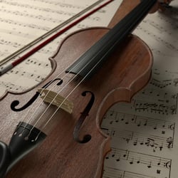 cme3d-project-violine-4-xl