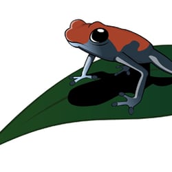 frosch