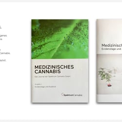 Portfolio Strategic Marketing und Konzeption