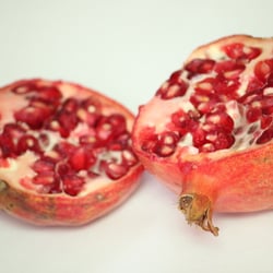 Granatapfel November 2012