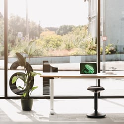 boho office 3