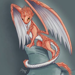 Karina May Drache auf Felsen