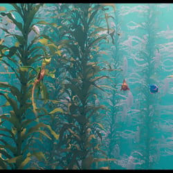 Kelpwald