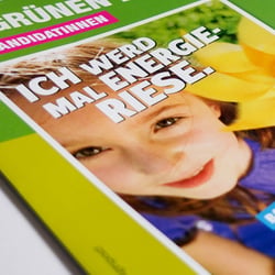 flyer gruene persp