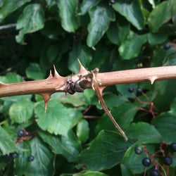Natur 2012