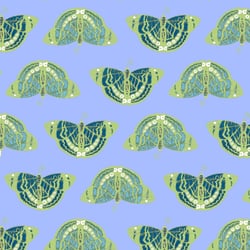 schmetterling limonenfalter