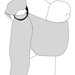 Vektorgrafik zum Ringsling