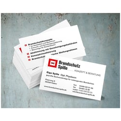 Logo und Visitenkarte für Brandschutz Spille