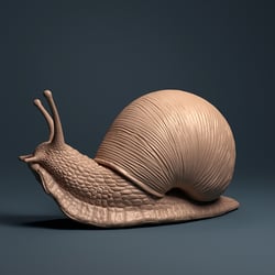 Weinbergschnecke 2