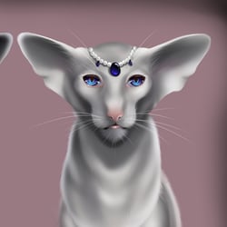kitty cat by riyavi-d9o1pvz