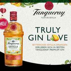 Tanqueray Gin (Diageo): Salesfolder Text