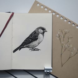 Spatz